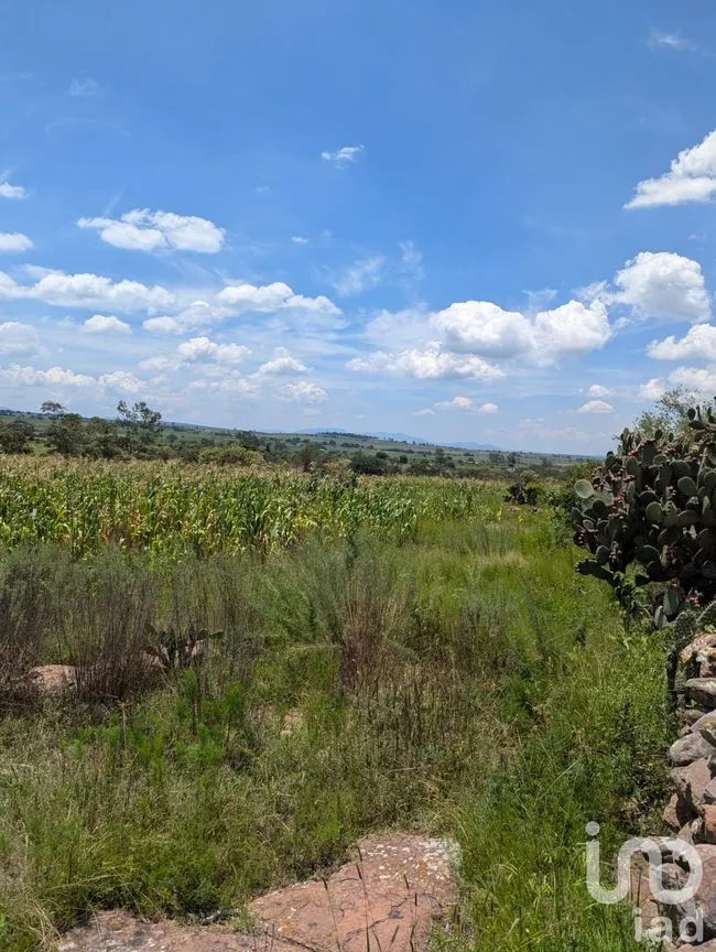 Terreno en Venta en El Saucito, Amealco de Bonfil, Querétaro | NEX-257273 | iad México | Foto 4 de 7