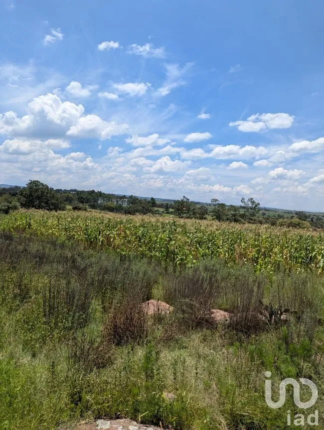 Terreno en Venta en El Saucito, Amealco de Bonfil, Querétaro | NEX-257273 | iad México | Foto 6 de 7
