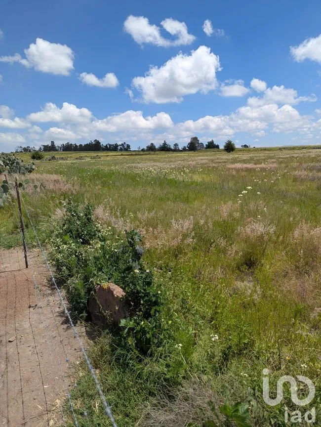 Terreno en Venta en La Muralla, Amealco de Bonfil, Querétaro | NEX-257279 | iad México | Foto 6 de 9