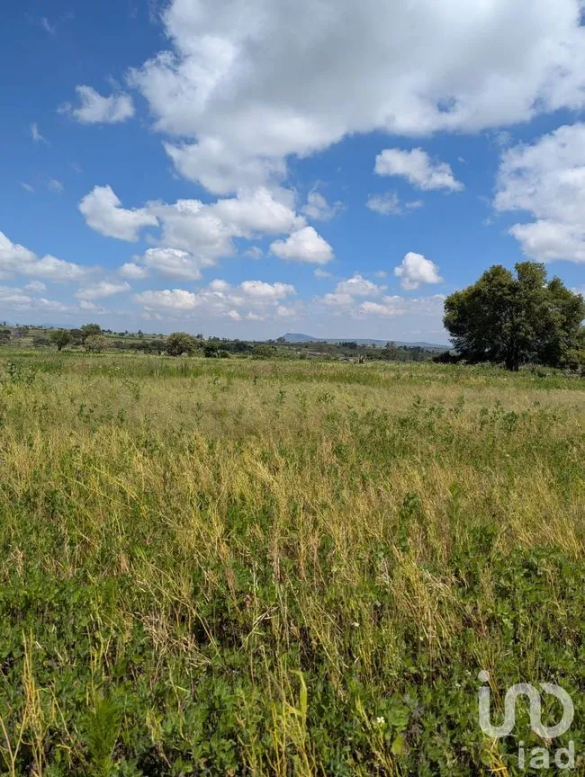Terreno en Venta en La Muralla, Amealco de Bonfil, Querétaro | NEX-257279 | iad México | Foto 9 de 9