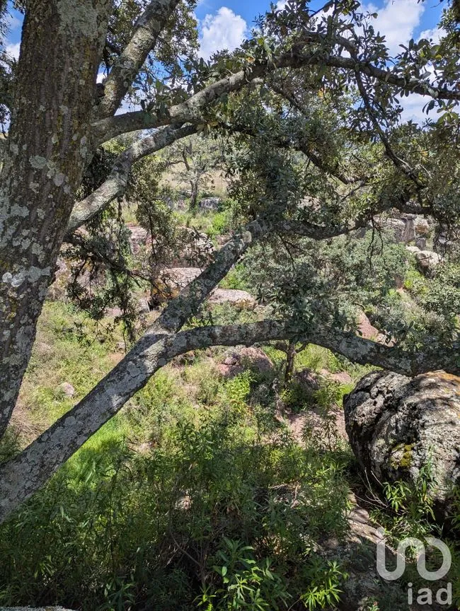 Terreno en Venta en El Bothé, Amealco de Bonfil, Querétaro | NEX-257282 | iad México | Foto 3 de 7