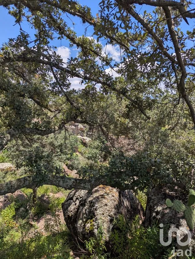 Terreno en Venta en El Bothé, Amealco de Bonfil, Querétaro | NEX-257282 | iad México | Foto 4 de 7