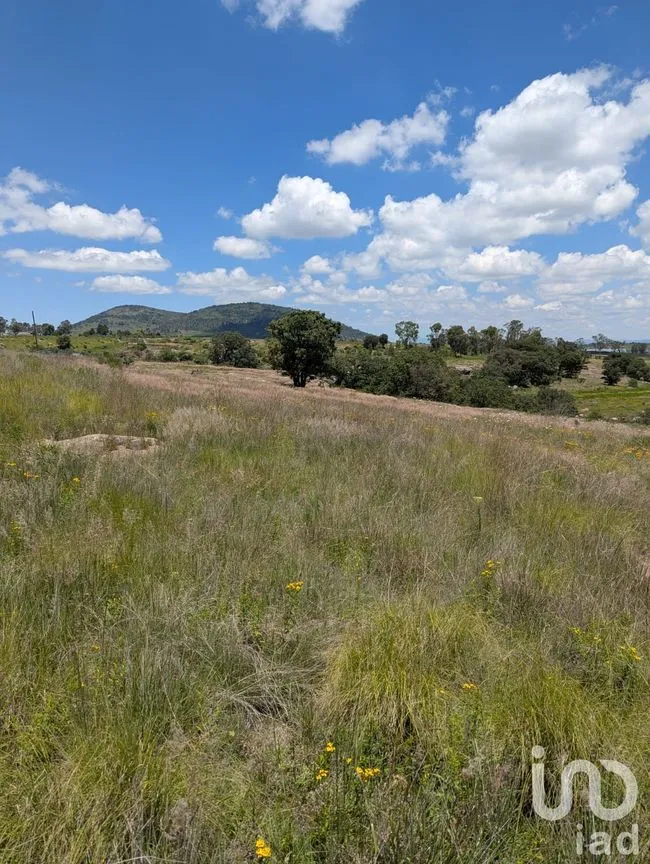 Terreno en Venta en El Bothé, Amealco de Bonfil, Querétaro | NEX-257282 | iad México | Foto 6 de 7