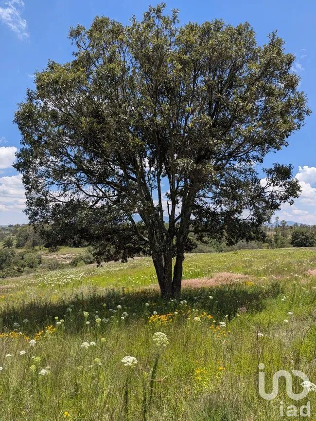 Terreno en Venta en El Bothé, Amealco de Bonfil, Querétaro | NEX-257282 | iad México | Foto 1 de 7
