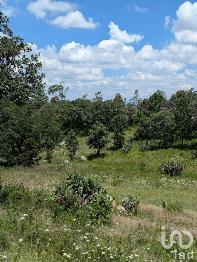 Terreno en Venta en El Bothé, Amealco de Bonfil, Querétaro | NEX-257283 | iad México | Foto 2 de 9