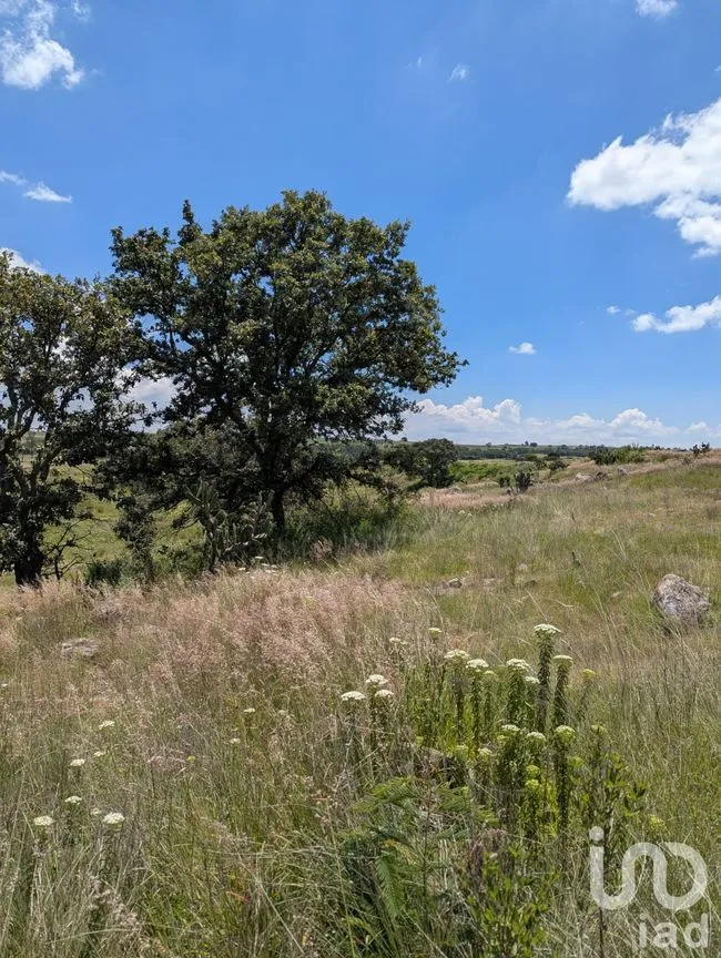 Terreno en Venta en El Bothé, Amealco de Bonfil, Querétaro | NEX-257283 | iad México | Foto 4 de 9