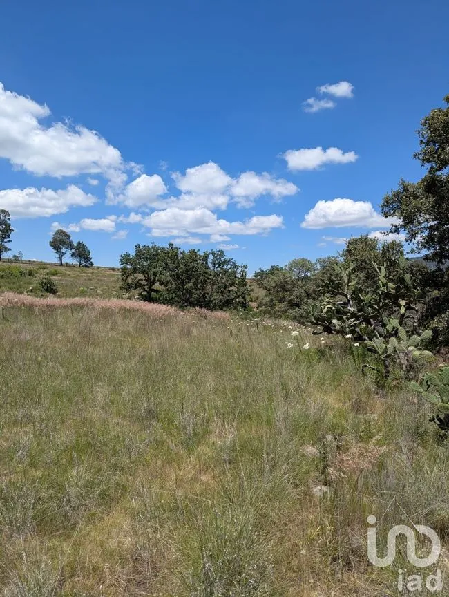 Terreno en Venta en El Bothé, Amealco de Bonfil, Querétaro | NEX-257283 | iad México | Foto 5 de 9