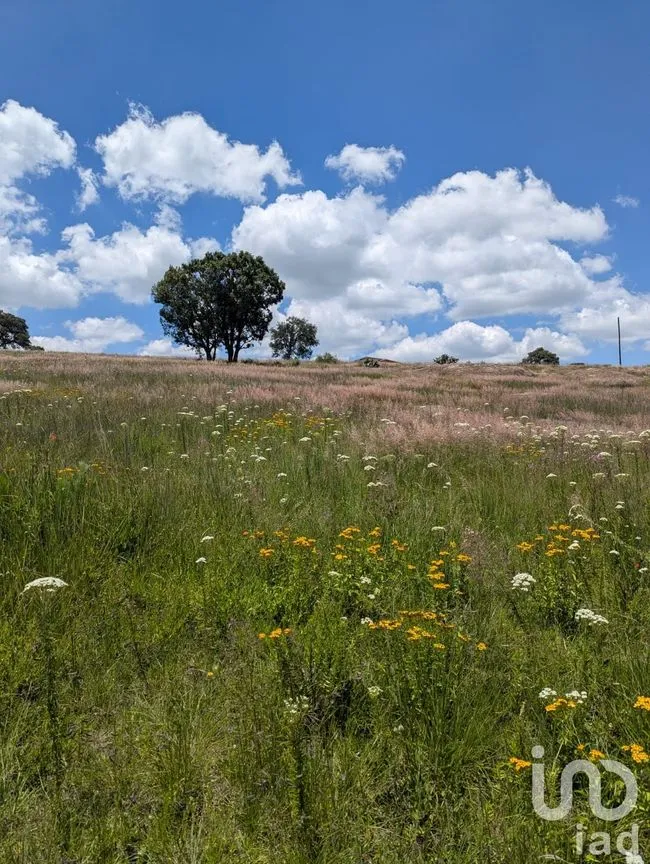 Terreno en Venta en El Bothé, Amealco de Bonfil, Querétaro | NEX-257283 | iad México | Foto 7 de 9