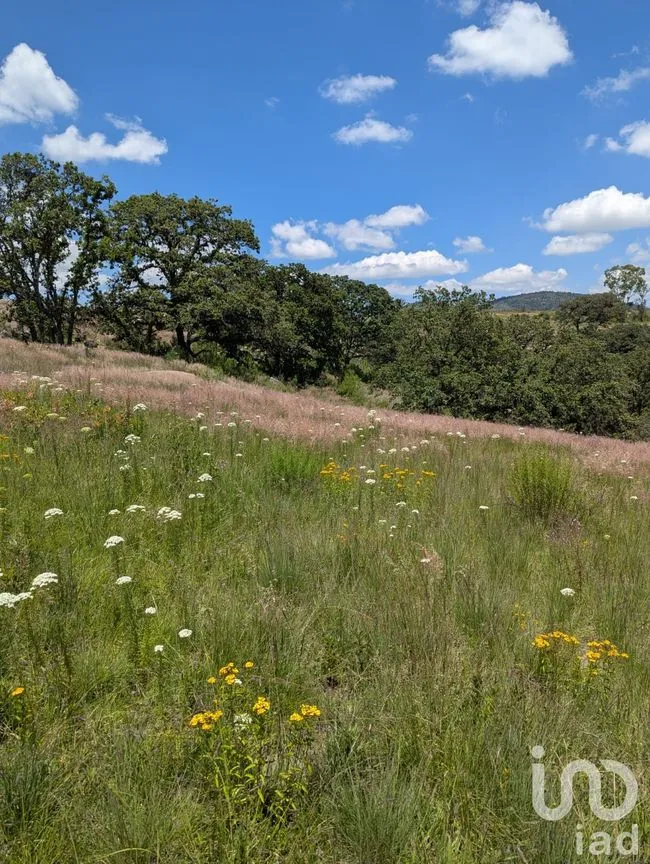 Terreno en Venta en El Bothé, Amealco de Bonfil, Querétaro | NEX-257283 | iad México | Foto 8 de 9