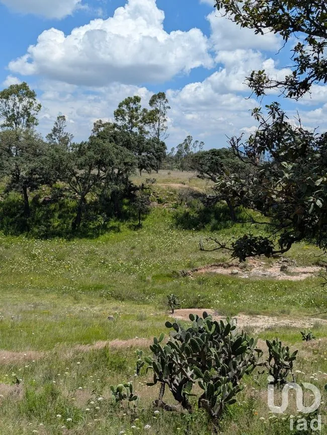 Terreno en Venta en El Bothé, Amealco de Bonfil, Querétaro | NEX-257283 | iad México | Foto 1 de 9