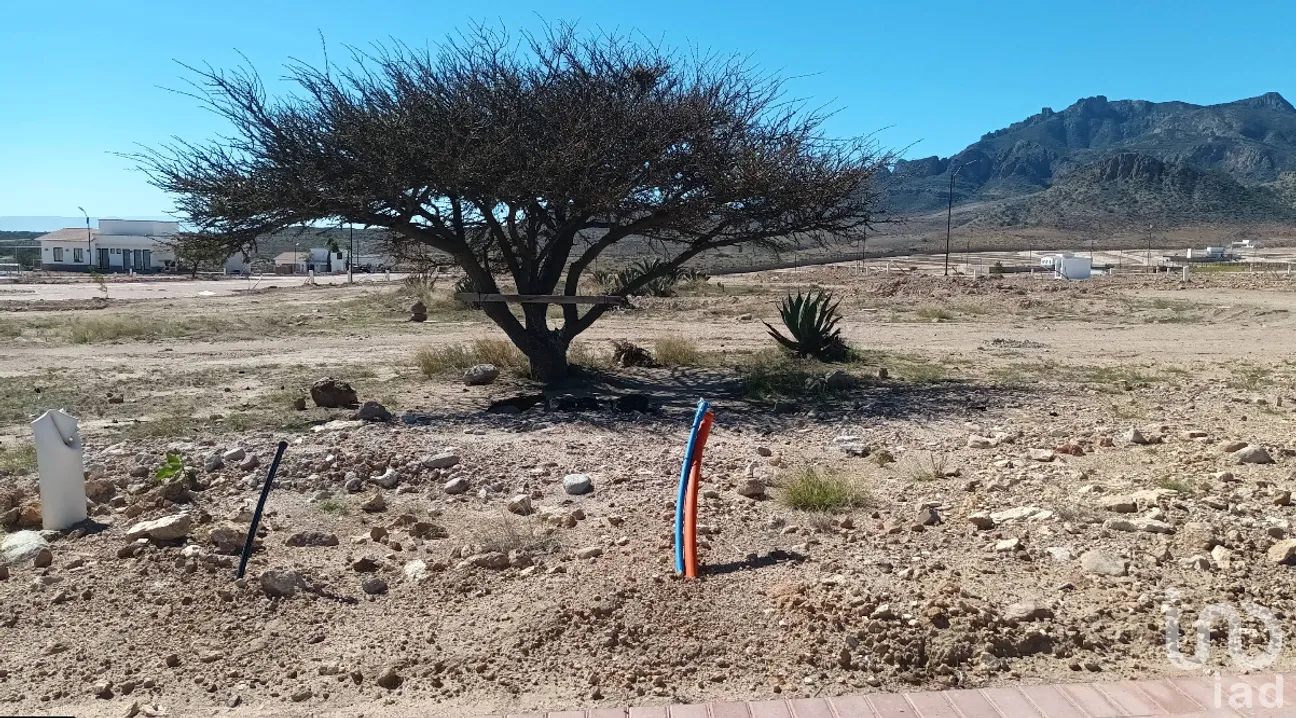 Terreno en Venta en La Presa (La Presita), Villa de Reyes, San Luis Potosí | NEX-257288 | iad México | Foto 5 de 8