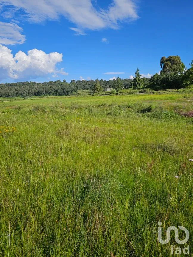 Terreno en Venta en La Laborcilla, San Juan del Río, Querétaro | NEX-257290 | iad México | Foto 8 de 8