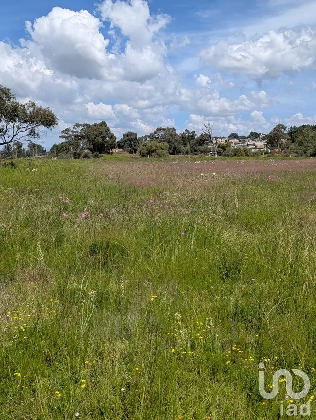 Terreno en Venta en San Juan Dehedó, Amealco de Bonfil, Querétaro | NEX-257446 | iad México | Foto 4 de 12