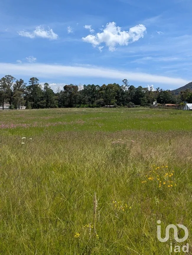 Terreno en Venta en San Juan Dehedó, Amealco de Bonfil, Querétaro | NEX-257446 | iad México | Foto 6 de 12