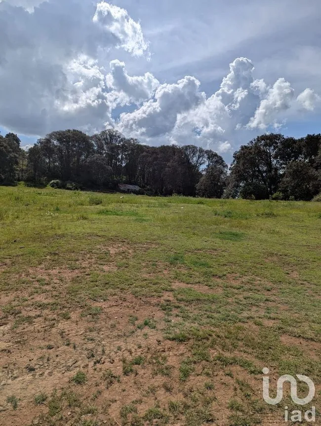 Terreno en Venta en Cerro de los Gallos, Amealco de Bonfil, Querétaro | NEX-257449 | iad México | Foto 3 de 5