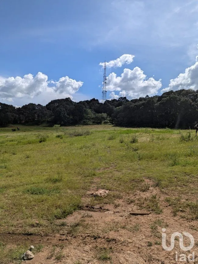 Terreno en Venta en Cerro de los Gallos, Amealco de Bonfil, Querétaro | NEX-257449 | iad México | Foto 4 de 5