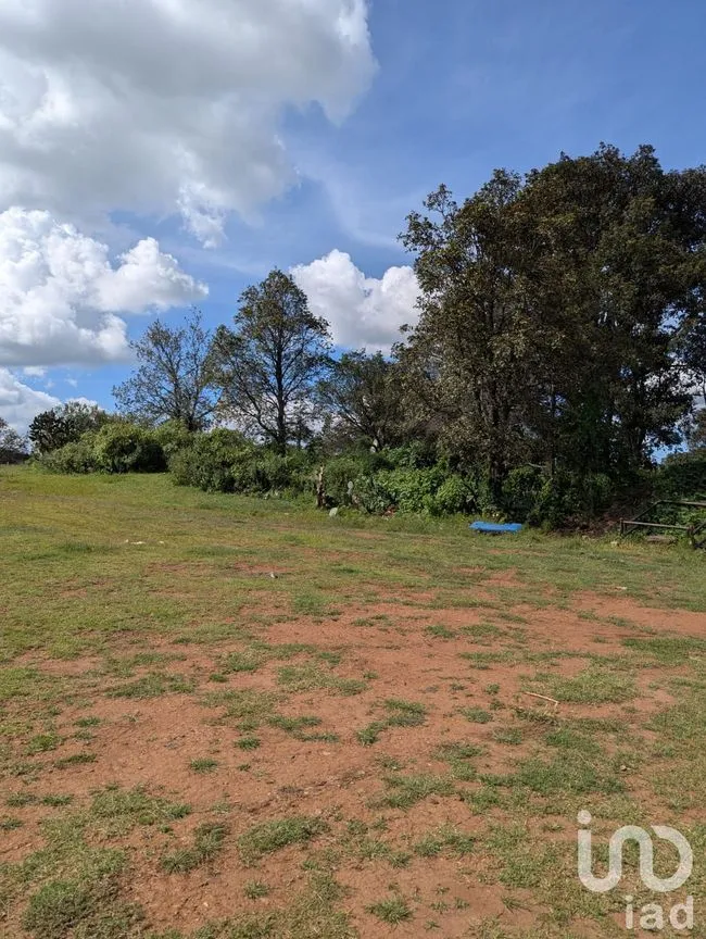 Terreno en Venta en Cerro de los Gallos, Amealco de Bonfil, Querétaro | NEX-257449 | iad México | Foto 5 de 5