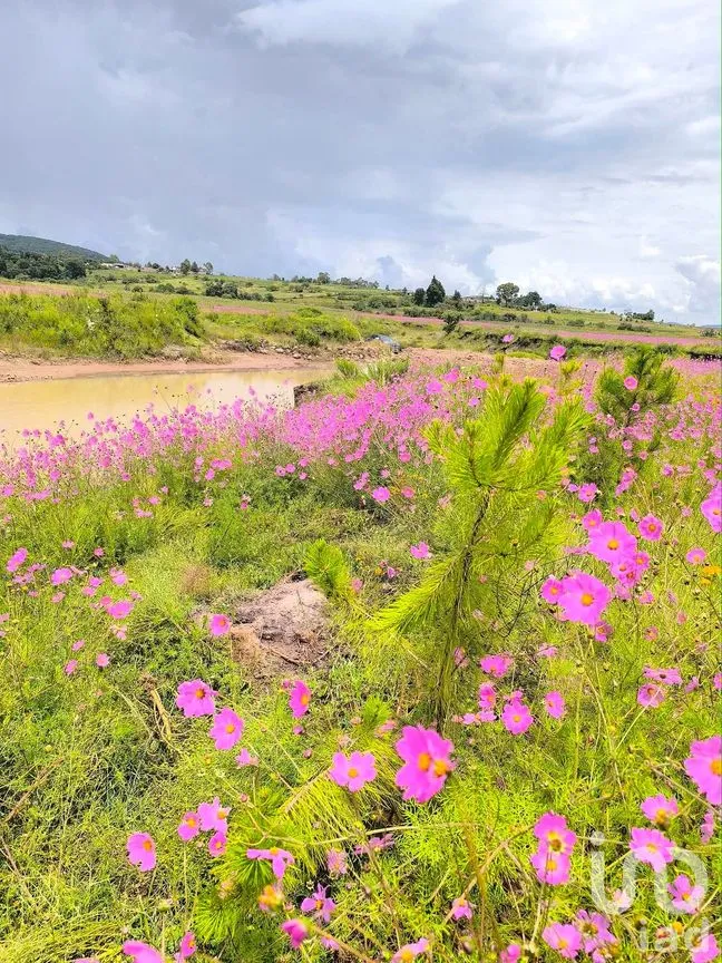 Terreno en Venta en San Pedro Tenango, Amealco de Bonfil, Querétaro | NEX-291233 | iad México | Foto 2 de 7