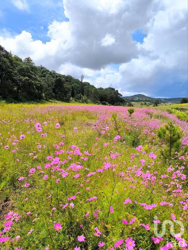 Terreno en Venta en San Pedro Tenango, Amealco de Bonfil, Querétaro | NEX-291233 | iad México | Foto 3 de 7