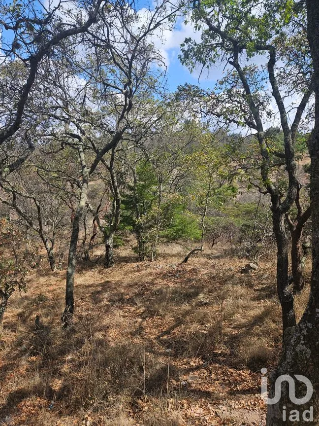 Terreno en Venta en Del Barco (San Miguel Tlaxcaltepec), Amealco de Bonfil, Querétaro | NEX-298873 | iad México | Foto 3 de 8