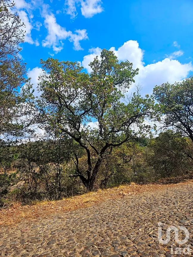 Terreno en Venta en Del Barco (San Miguel Tlaxcaltepec), Amealco de Bonfil, Querétaro | NEX-298873 | iad México | Foto 4 de 8