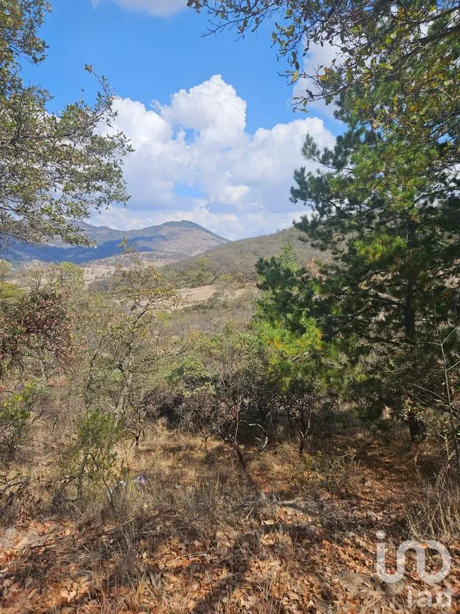 Terreno en Venta en Del Barco (San Miguel Tlaxcaltepec), Amealco de Bonfil, Querétaro | NEX-298873 | iad México | Foto 6 de 8