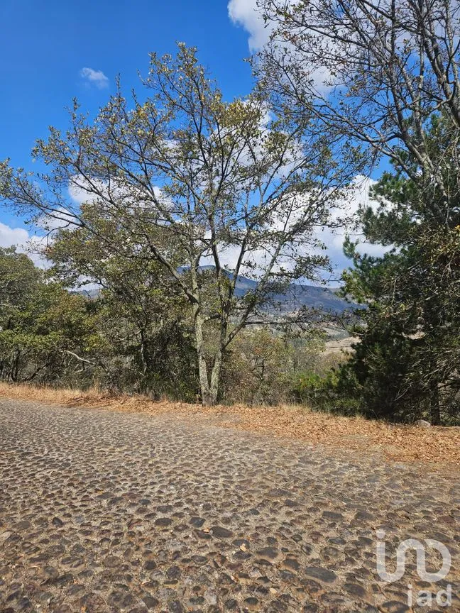 Terreno en Venta en Del Barco (San Miguel Tlaxcaltepec), Amealco de Bonfil, Querétaro | NEX-298873 | iad México | Foto 8 de 8