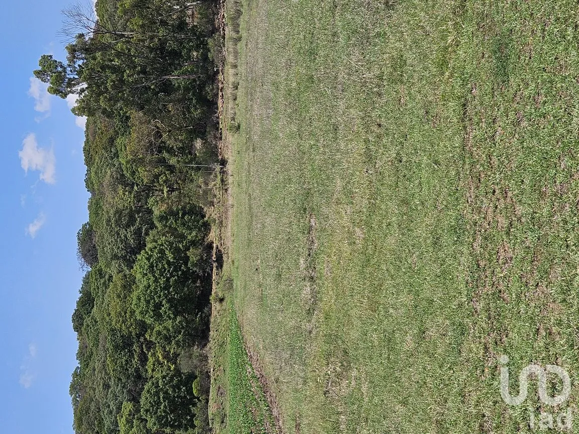 Terreno en Venta en Jacal de la Piedad, Amealco de Bonfil, Querétaro | NEX-299246 | iad México | Foto 3 de 8