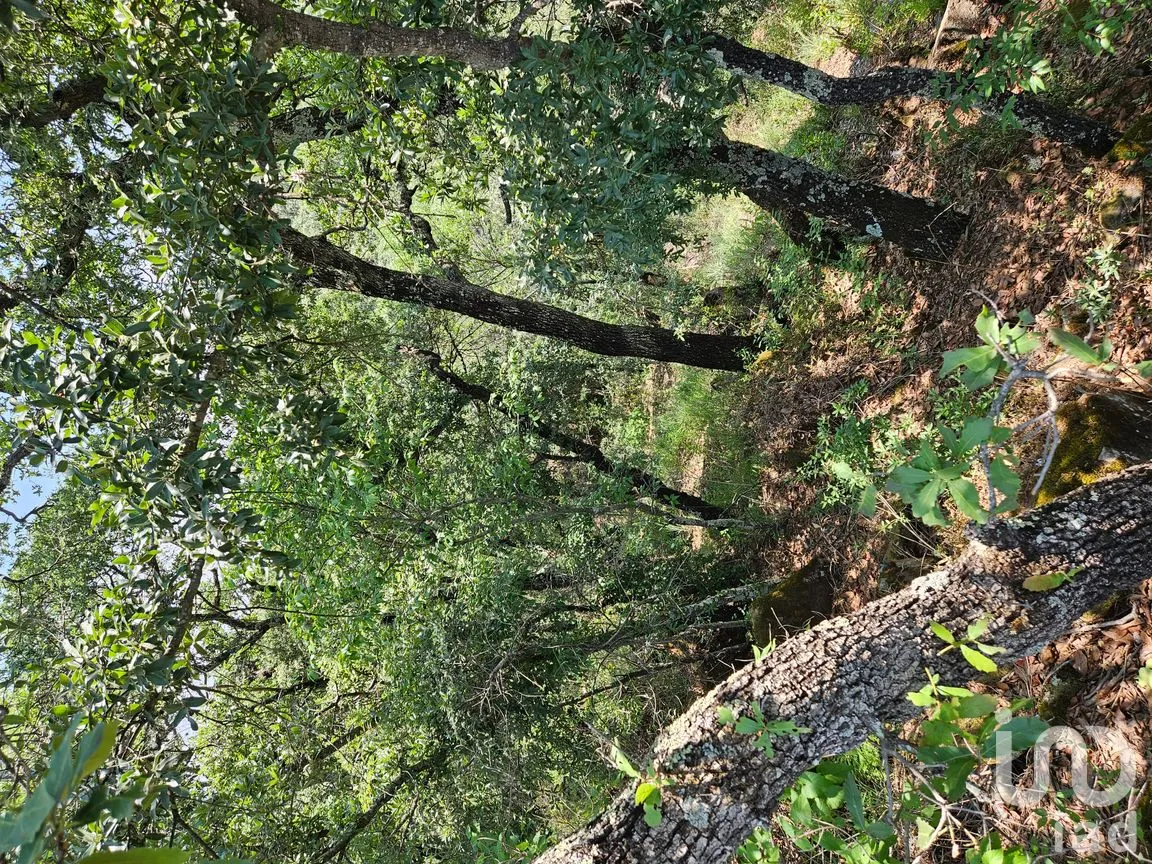 Terreno en Venta en Jacal de la Piedad, Amealco de Bonfil, Querétaro | NEX-299246 | iad México | Foto 7 de 8