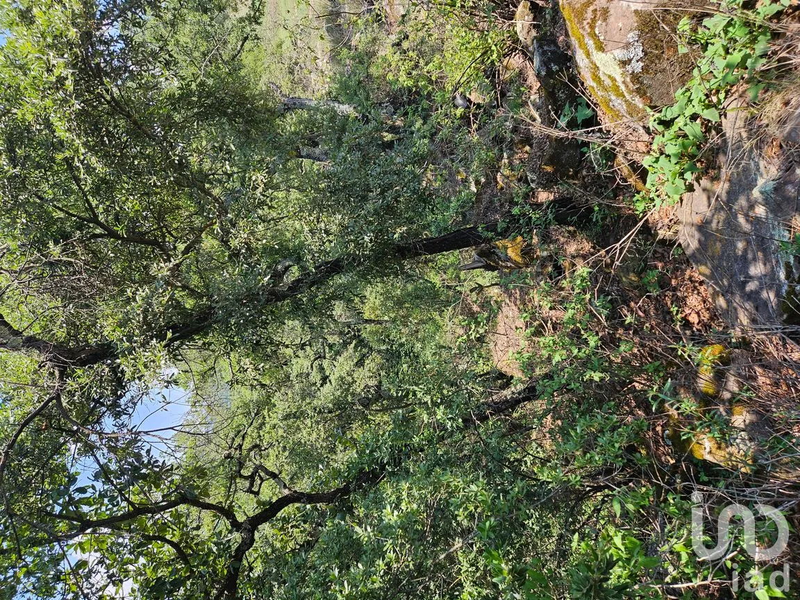 Terreno en Venta en Jacal de la Piedad, Amealco de Bonfil, Querétaro | NEX-299246 | iad México | Foto 8 de 8