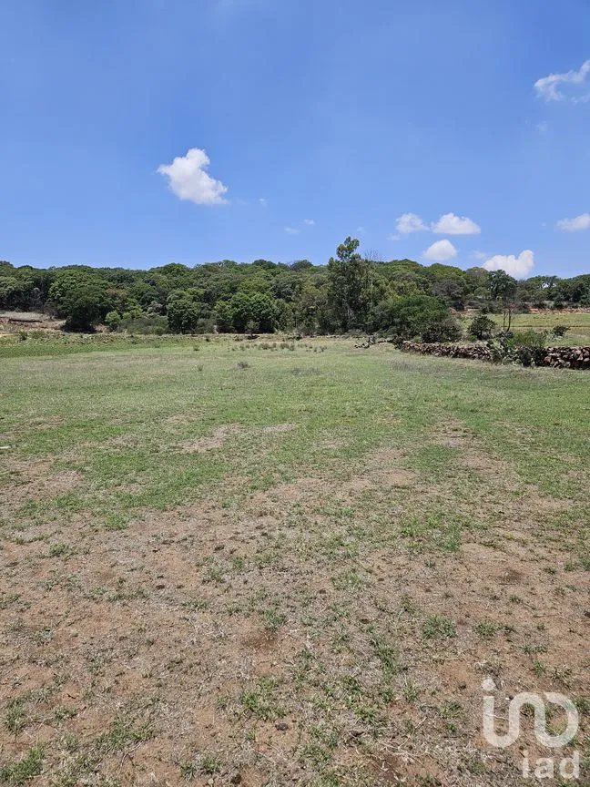 Terreno en Venta en Jacal de la Piedad, Amealco de Bonfil, Querétaro | NEX-299246 | iad México | Foto 11 de 11