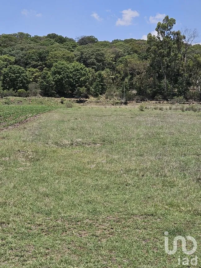 Terreno en Venta en Jacal de la Piedad, Amealco de Bonfil, Querétaro | NEX-299246 | iad México | Foto 3 de 11
