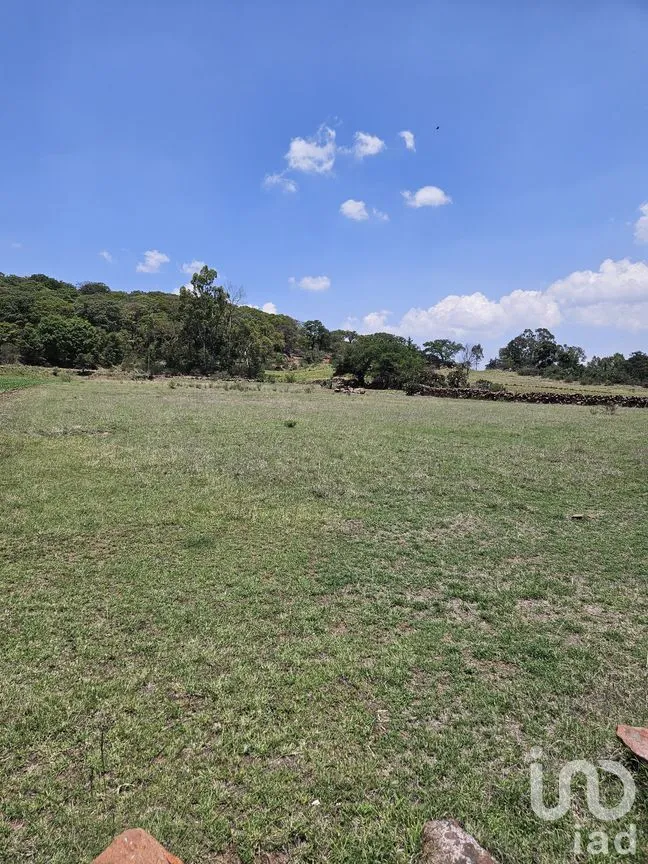 Terreno en Venta en Jacal de la Piedad, Amealco de Bonfil, Querétaro | NEX-299246 | iad México | Foto 4 de 11