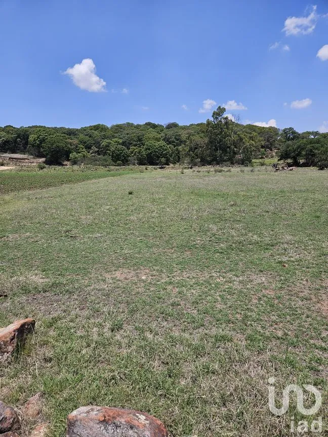 Terreno en Venta en Jacal de la Piedad, Amealco de Bonfil, Querétaro | NEX-299246 | iad México | Foto 5 de 11