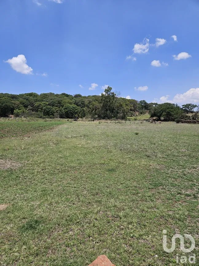 Terreno en Venta en Jacal de la Piedad, Amealco de Bonfil, Querétaro | NEX-299246 | iad México | Foto 7 de 11