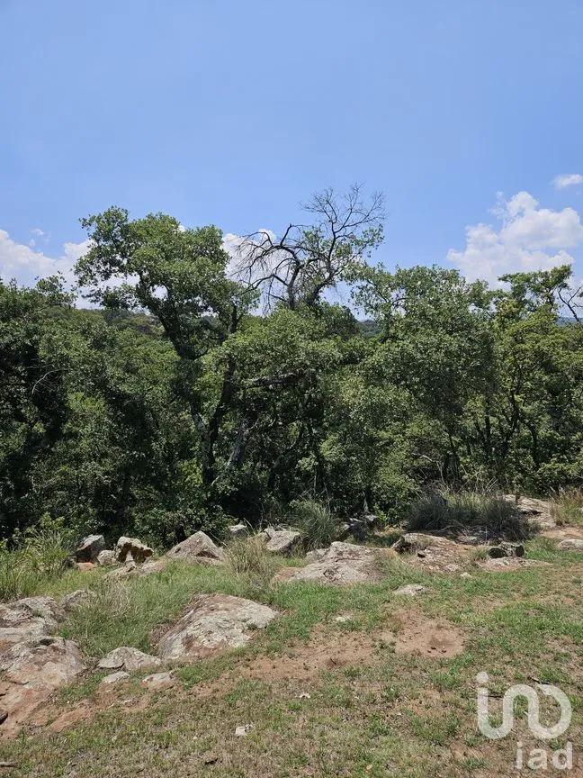 Terreno en Venta en Jacal de la Piedad, Amealco de Bonfil, Querétaro | NEX-299246 | iad México | Foto 8 de 11