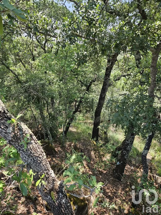 Terreno en Venta en Jacal de la Piedad, Amealco de Bonfil, Querétaro | NEX-299246 | iad México | Foto 9 de 11