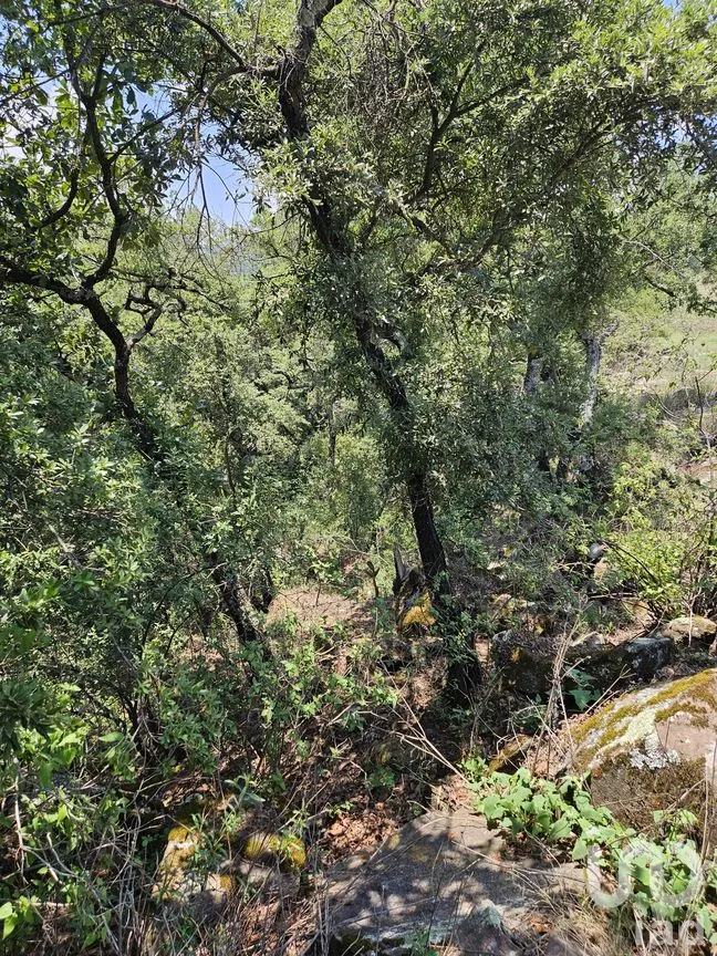 Terreno en Venta en Jacal de la Piedad, Amealco de Bonfil, Querétaro | NEX-299246 | iad México | Foto 10 de 11