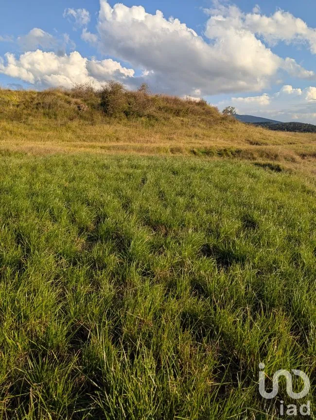 Terreno en Venta en Jacal de la Piedad, Amealco de Bonfil, Querétaro | NEX-299259 | iad México | Foto 2 de 11