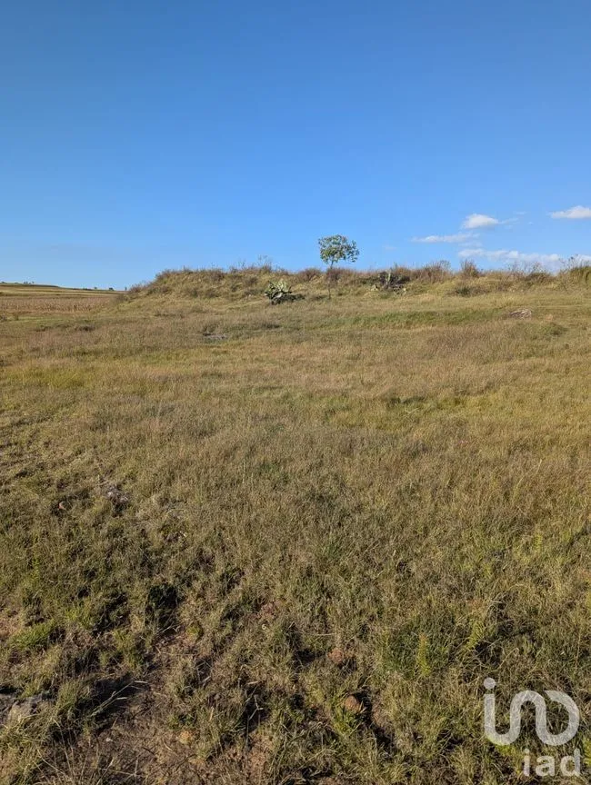 Terreno en Venta en Jacal de la Piedad, Amealco de Bonfil, Querétaro | NEX-299259 | iad México | Foto 11 de 11