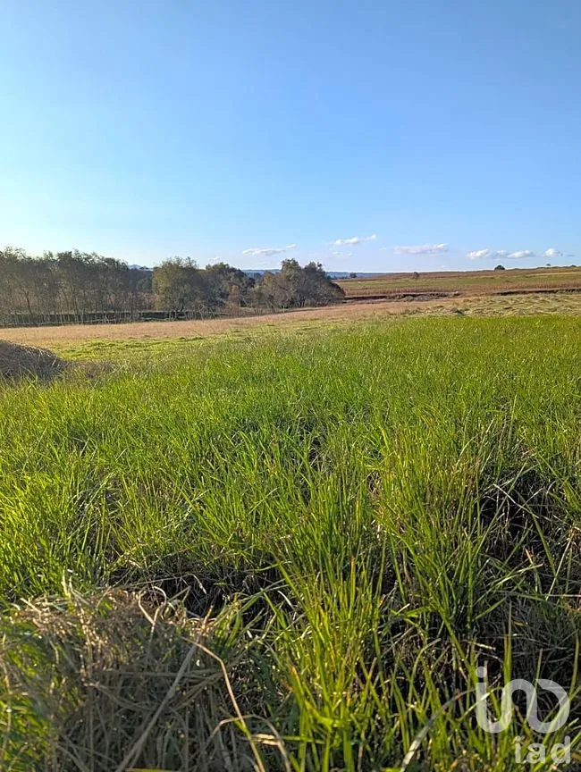 Terreno en Venta en Jacal de la Piedad, Amealco de Bonfil, Querétaro | NEX-299259 | iad México | Foto 3 de 11
