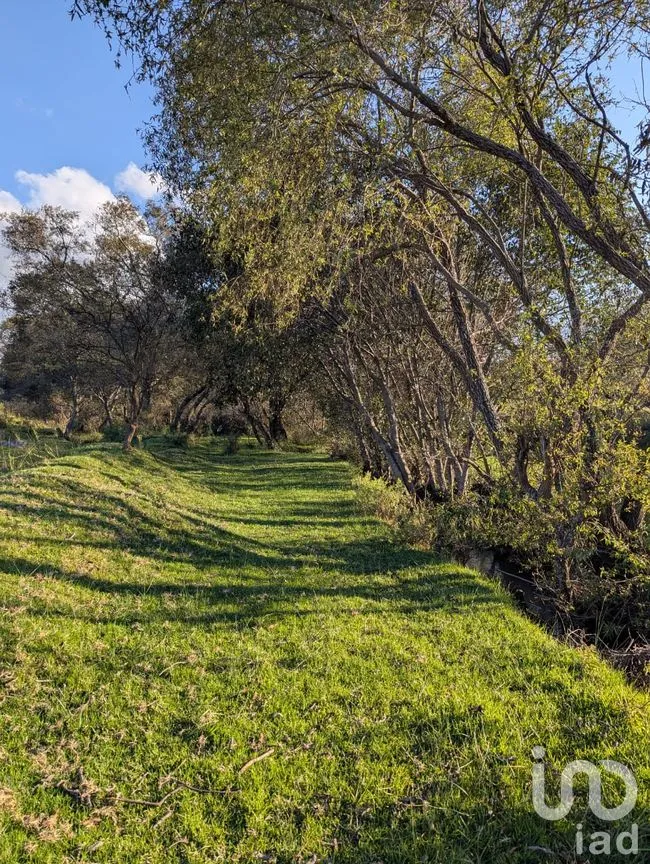 Terreno en Venta en Jacal de la Piedad, Amealco de Bonfil, Querétaro | NEX-299259 | iad México | Foto 4 de 11