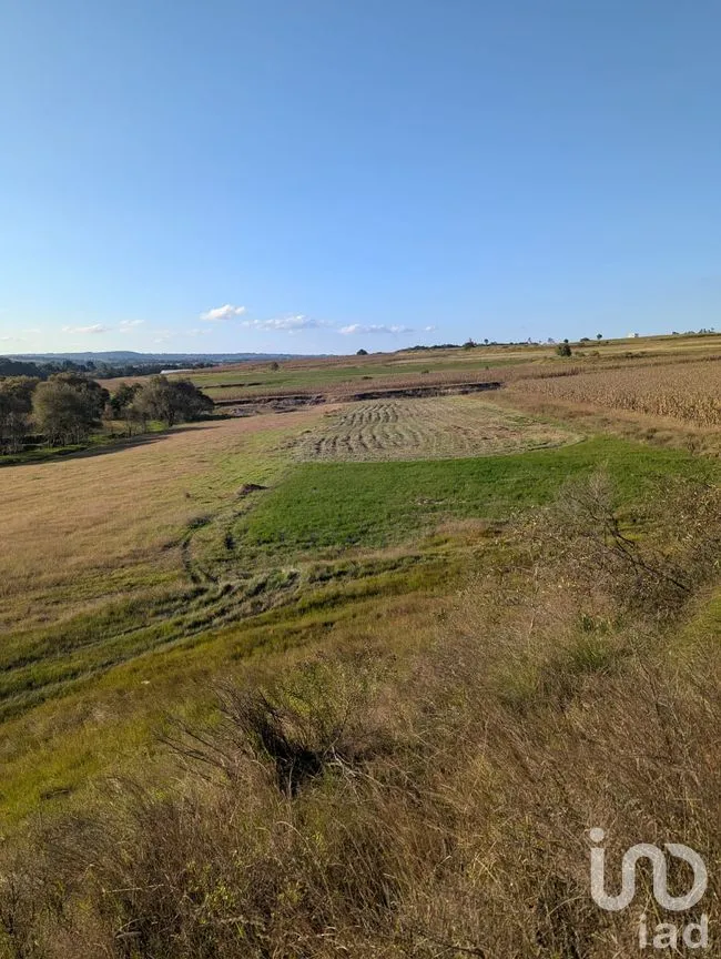 Terreno en Venta en Jacal de la Piedad, Amealco de Bonfil, Querétaro | NEX-299259 | iad México | Foto 5 de 11