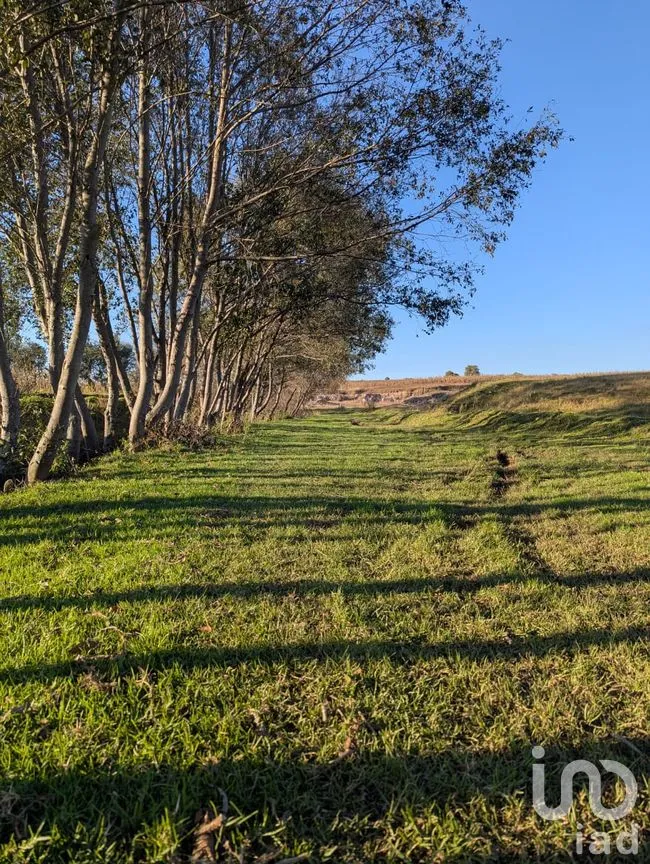 Terreno en Venta en Jacal de la Piedad, Amealco de Bonfil, Querétaro | NEX-299259 | iad México | Foto 6 de 11
