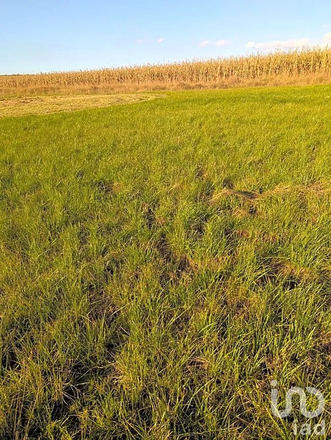 Terreno en Venta en Jacal de la Piedad, Amealco de Bonfil, Querétaro | NEX-299259 | iad México | Foto 7 de 11