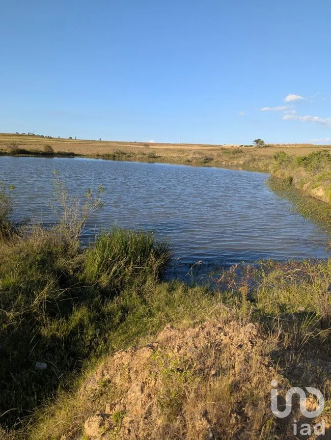 Terreno en Venta en Jacal de la Piedad, Amealco de Bonfil, Querétaro | NEX-299259 | iad México | Foto 8 de 11