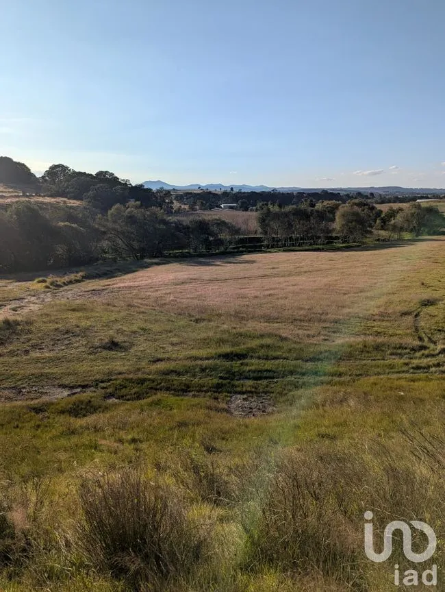 Terreno en Venta en Jacal de la Piedad, Amealco de Bonfil, Querétaro | NEX-299259 | iad México | Foto 9 de 11