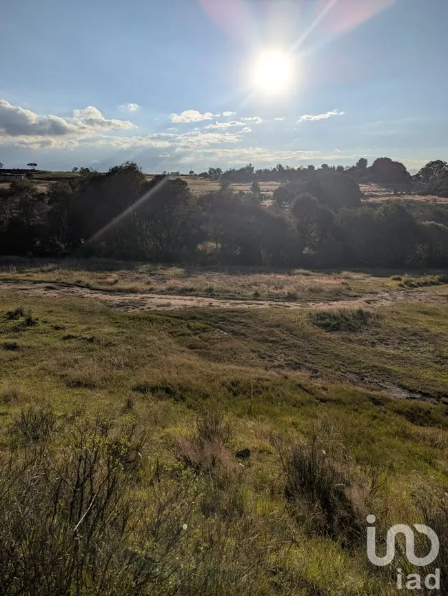 Terreno en Venta en Jacal de la Piedad, Amealco de Bonfil, Querétaro | NEX-299259 | iad México | Foto 10 de 11