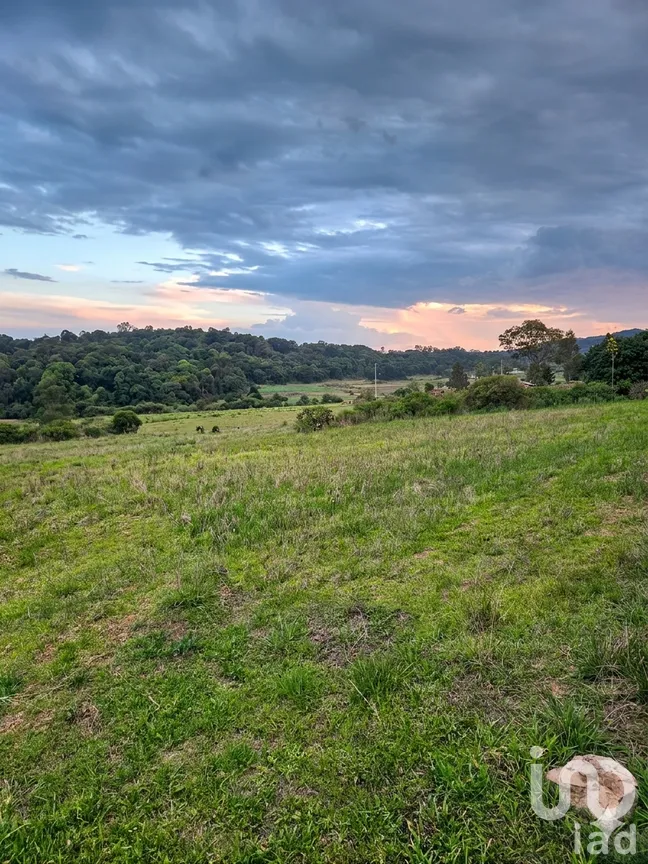 Terreno en Venta en San Pedro Tenango, Amealco de Bonfil, Querétaro | NEX-300775 | iad México | Foto 4 de 6