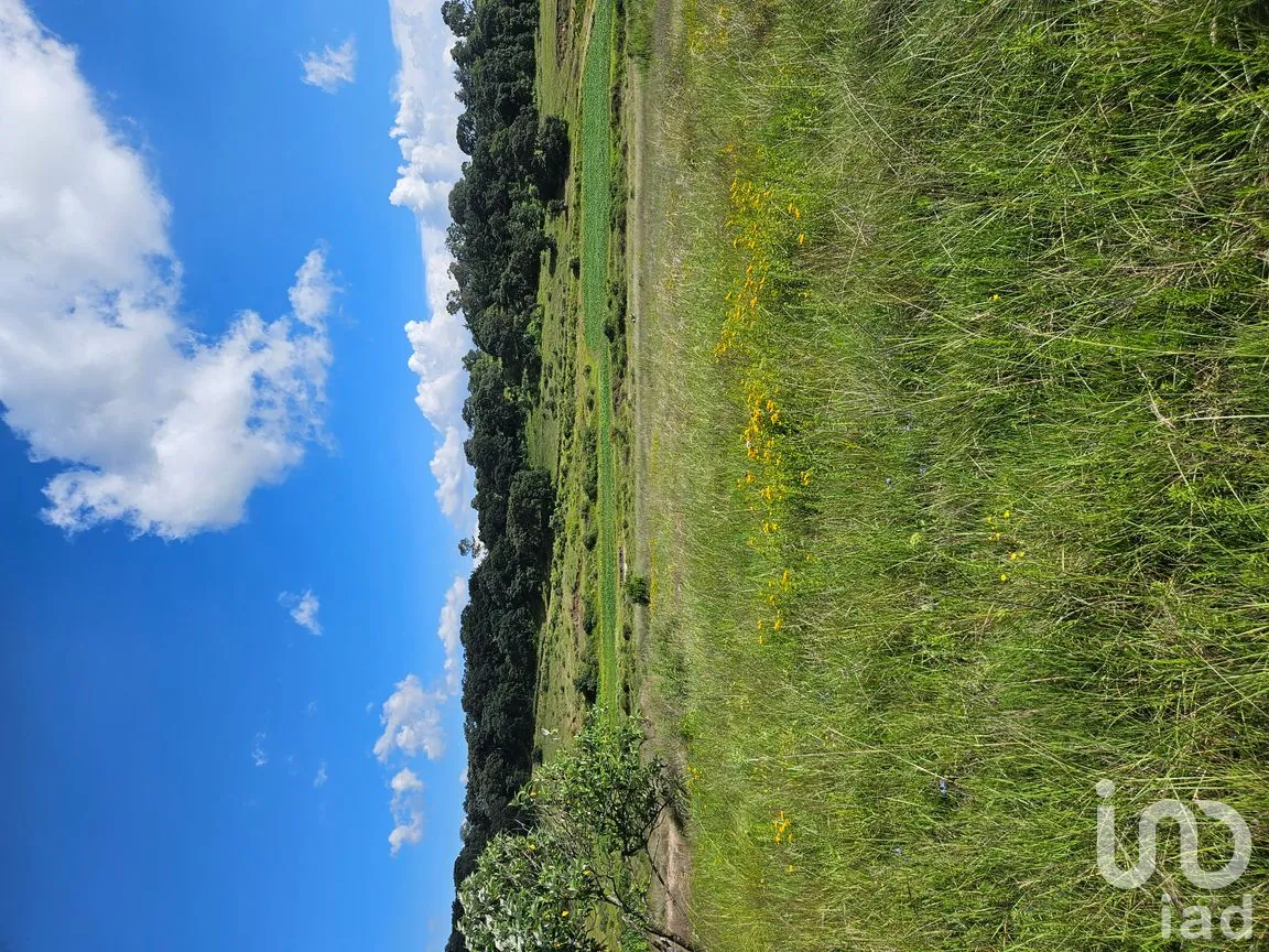 Terreno en Venta en San Pedro Tenango, Amealco de Bonfil, Querétaro | NEX-300775 | iad México | Foto 6 de 6